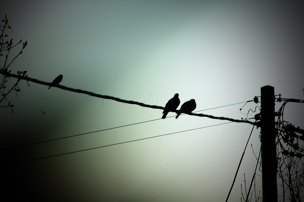 Dies ist nur ein Test und noch mehr Text